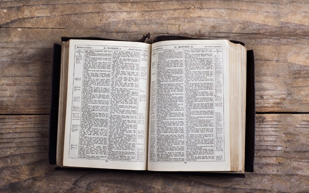 Understanding Our Differences –  Bible References